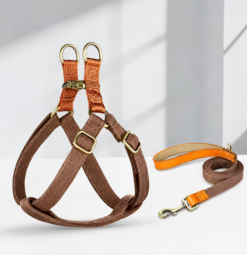 Harnais & Laisse pour petit/moyen chien