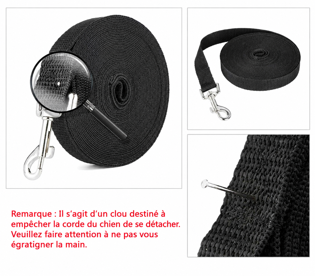 Longe d’Éducation